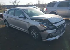 5NPE24AF2KH818023: 44212578