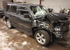 1C4NJRFB6ED766203: 44213438