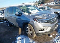 5FNYF6H77JB005110: 44213596