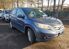 5J6RM4H59EL050320: 44213018