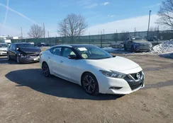 1N4AA6AP6JC404197: 44213020