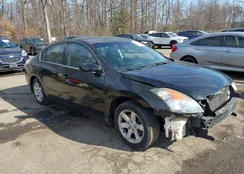 1N4AL21E38N517217: 44214561