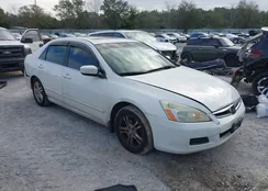 1HGCM56856A129254: 44214615