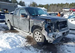 1FTEX1EM9DFA84454: 44215493