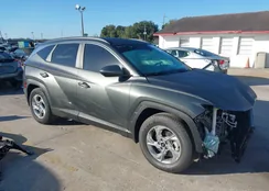 5NMJB3AE5PH262844: 44215687