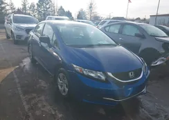 19XFB2F50EE030195: 44215734