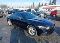 1FA6P8AM6H5277374: 44215935