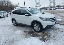 5J6RM4H76EL090212: 44214989