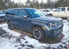 5NMP1DGL0SH119317: 44216425