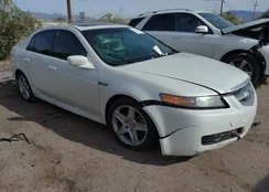 19UUA66235A037671: 44216473