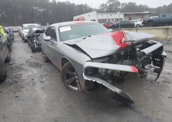 2C3CDYAGXDH650794: 44216885