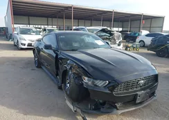 1FA6P8TH0F5341986: 44216122