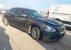 1N4AA5AP8CC812228: 44216145