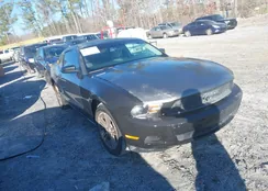 1ZVBP8AN5A5128197: 44217650