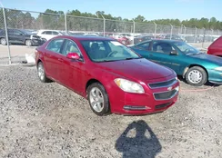 1G1ZD5EB1AF115104: 44217772