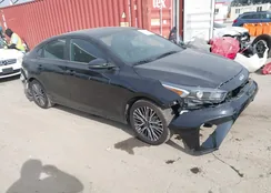 3KPF54AD8PE591393: 44217165