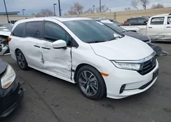 5FNRL6H89RB035615: 44217202