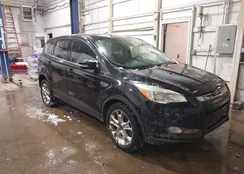 1FMCU0H93DUD76125: 44218528