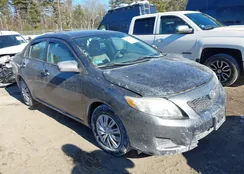 1NXBU4EE6AZ193561: 44218173