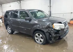 5FNYF4H66CB002942: 44218341