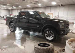 1FTEW1EG8GFB49005: 44219670