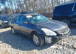 1N4AL2AP6CC129596: 44219931