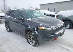 1C4PJMBS2GW110010: 44220664