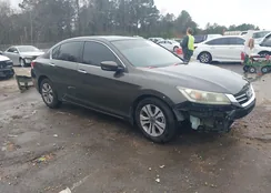 1HGCR2F31DA211175: 44220161