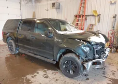 1FTEW1EP2JKF65100: 44220341