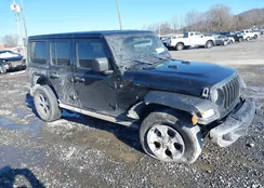 1C4HJXDN5MW755744: 44221557