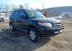 5NMSG13D09H232071: 44223388