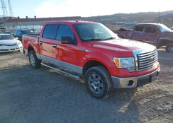 1FTFW1EF1CFB07491: 44223871