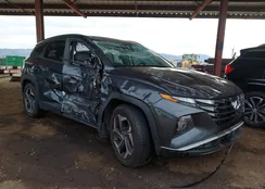 5NMJFCAE9PH168406: 44223281