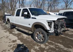 1FT8W3BT2BEC09627: 44224388