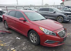 5NPE24AFXGH366314: 44224542