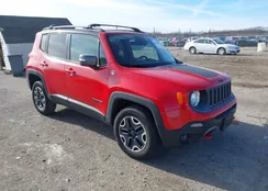 ZACCJBCT0FPC03629: 44224841