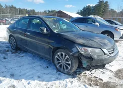 1HGCR2F54EA149600: 44223989