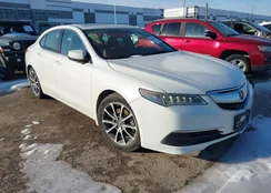 19UUB2F59FA023565: 44224091