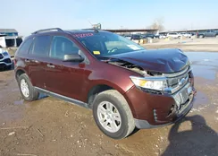 2FMDK3GC9CBA69765: 44224351