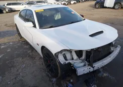 2C3CDXGJ4JH113282: 44225423