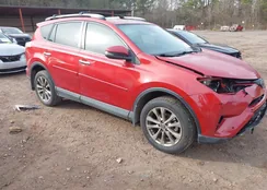 JTMYFREVXGJ089297: 44225650