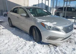 5NPE24AF2FH212873: 44225667