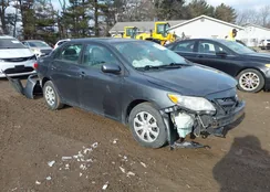 2T1BU4EE7BC550863: 44225835