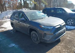 4T3RWRFV8NU081362: 44225076