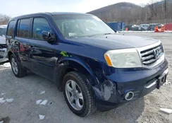 5FNYF4H55DB007462: 44225121