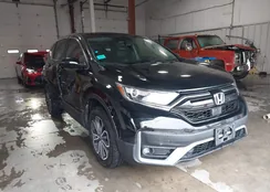 5J6RW2H81LL005409: 44226600