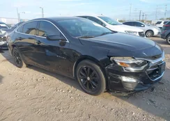 1G1ZD5ST7LF095442: 44226671