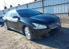 1N4AA5AP9BC839341: 44227387