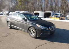 5NPE24AFXGH346807: 44227559