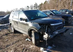 1FM5K8D84FGB78231: 44228548